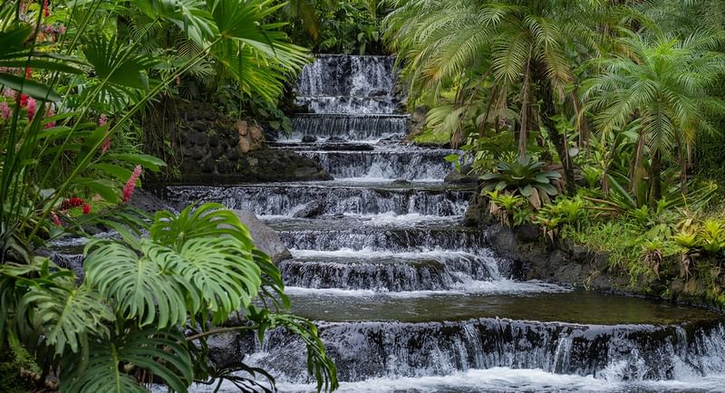 Tabacón Hot Springs